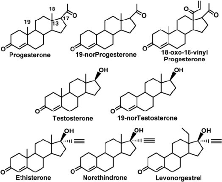 Comparison of bio-identical to synthetic hormones
